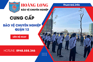 dich-vu-bao-ve-quan-12