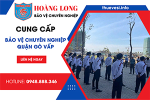dich-vu-bao-ve-quan-go-vap