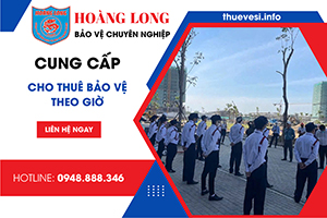 dich-vu-bao-ve-theo-gio